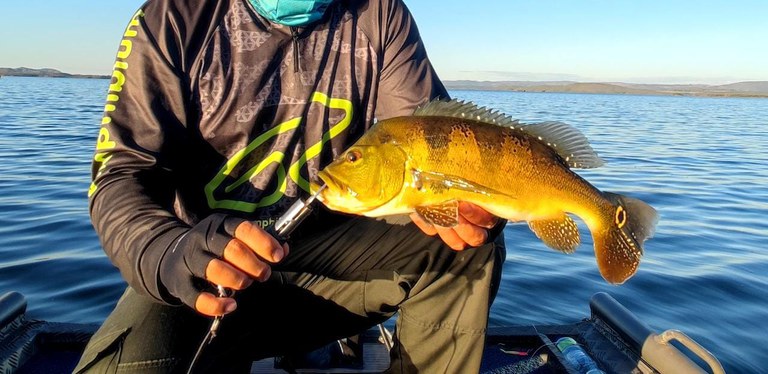 TURISMO DE PESCA ][ Estrangeiro sem CPF já pode emitir Licença de Pesca Amadora no Gov.br